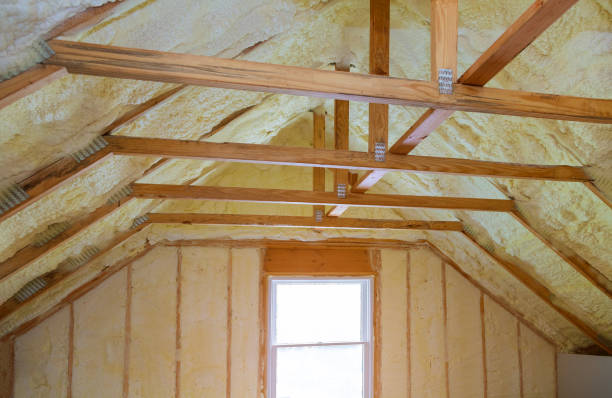 Best Specialized Insulation Services in Duncan, SC